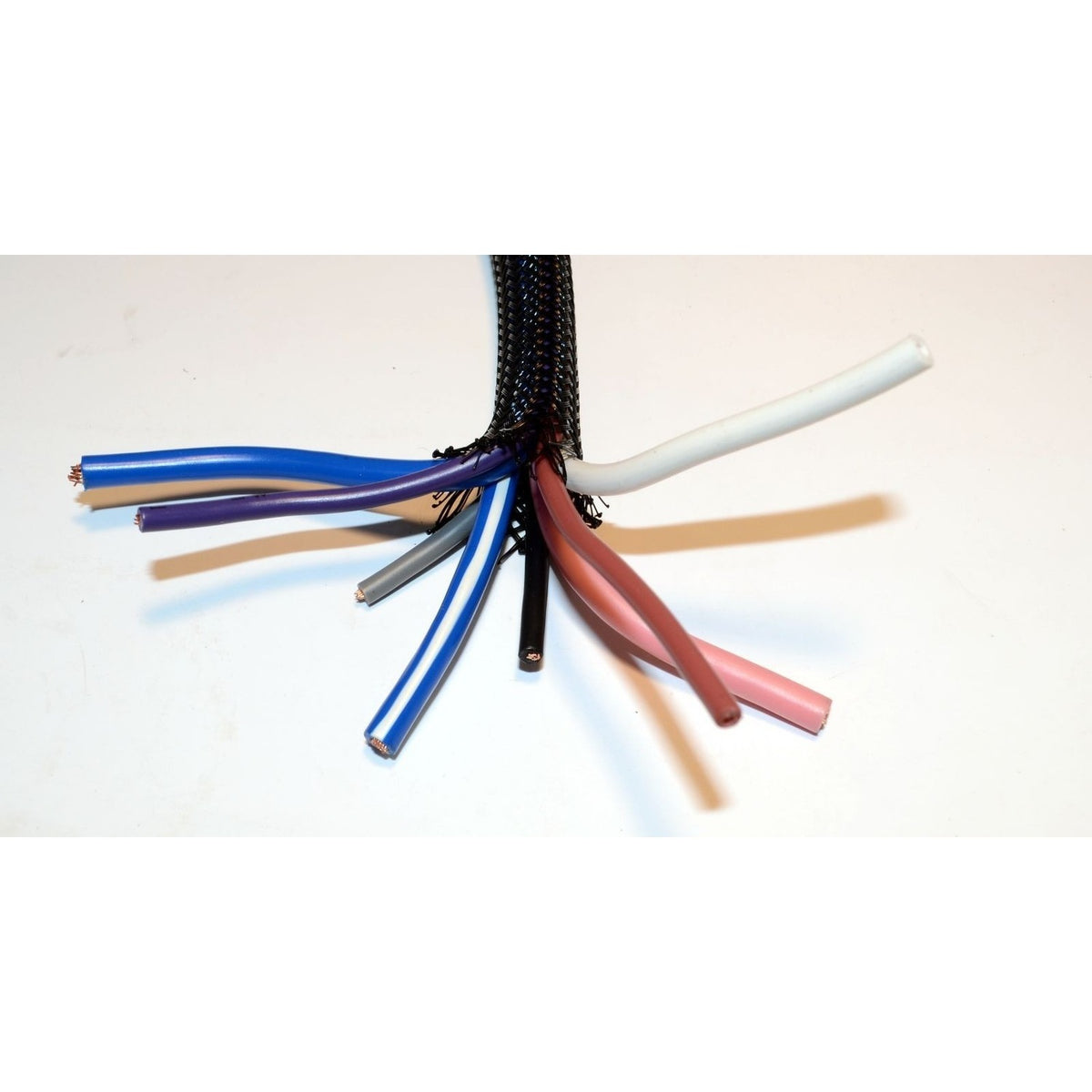 12 Circuit Universal Wire Harness