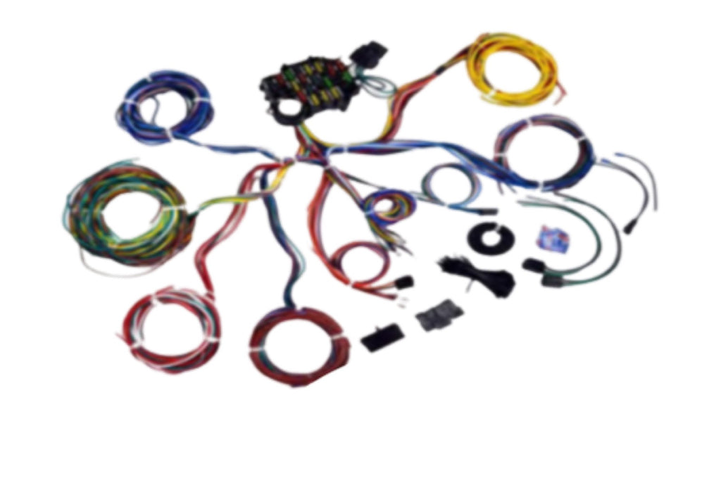 21 Circuit Wire Harness